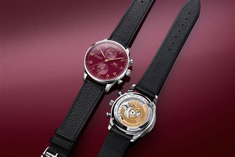 iwc 2024 contest